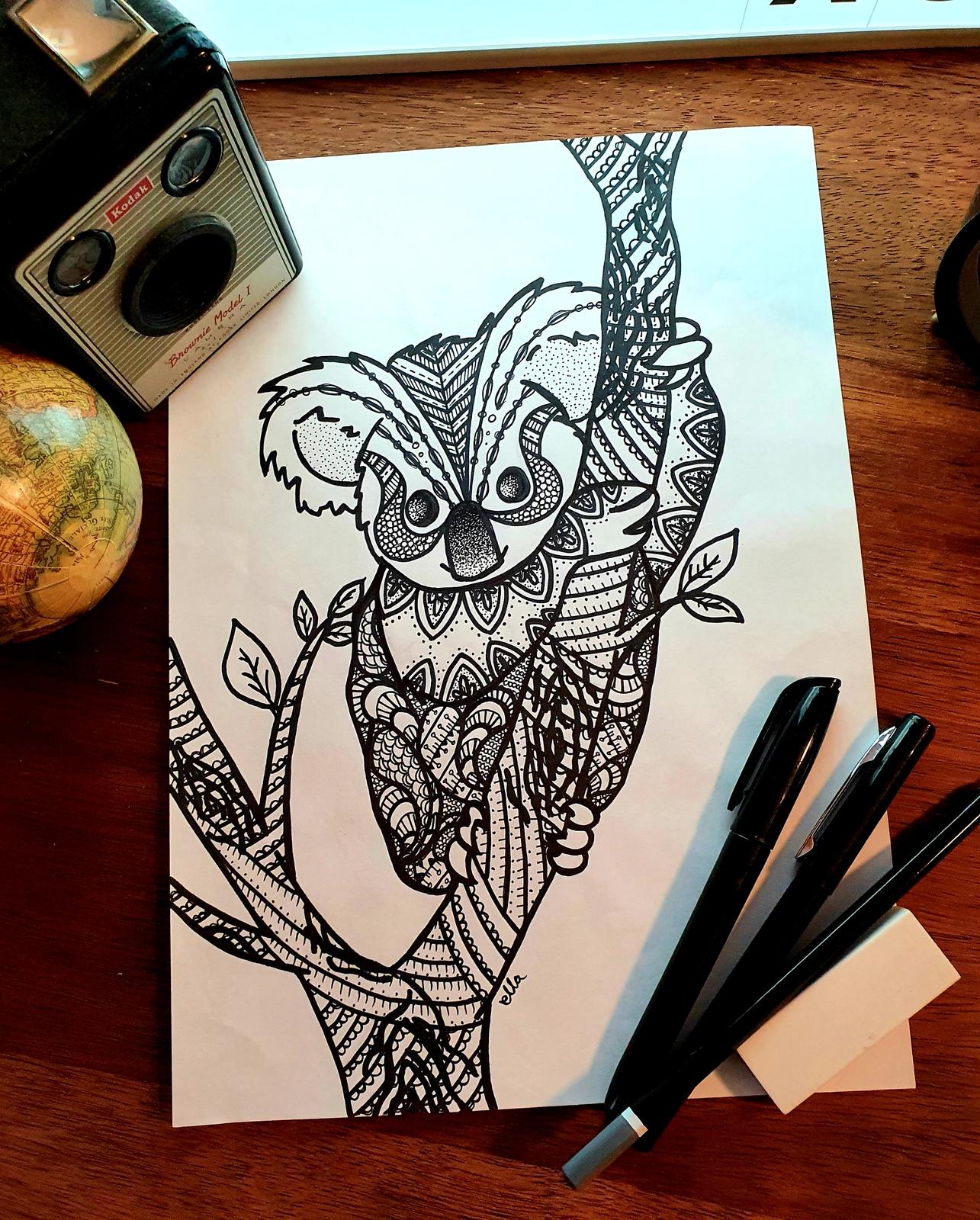 Lottie the Koala
