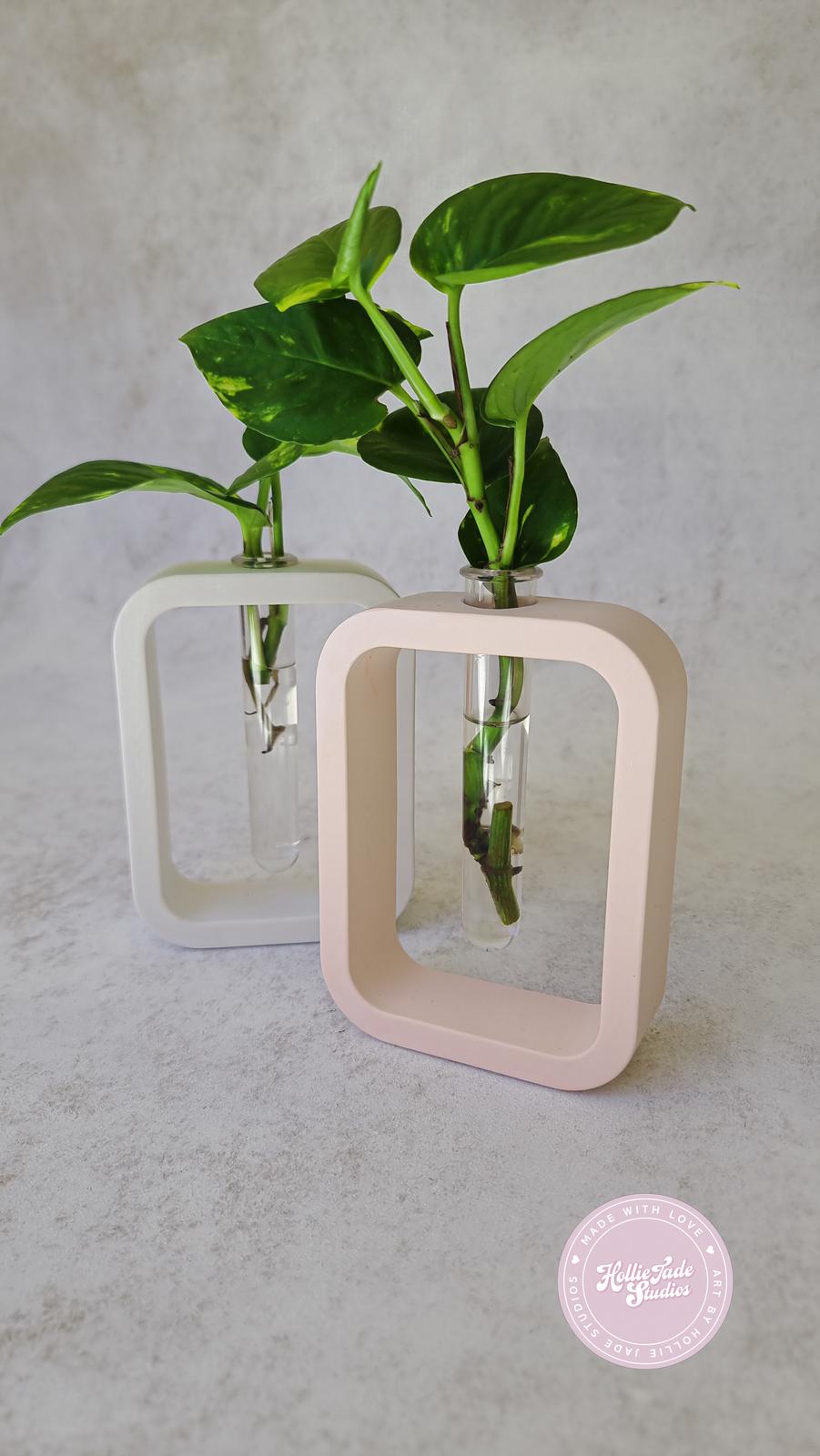 Propagation Plants
