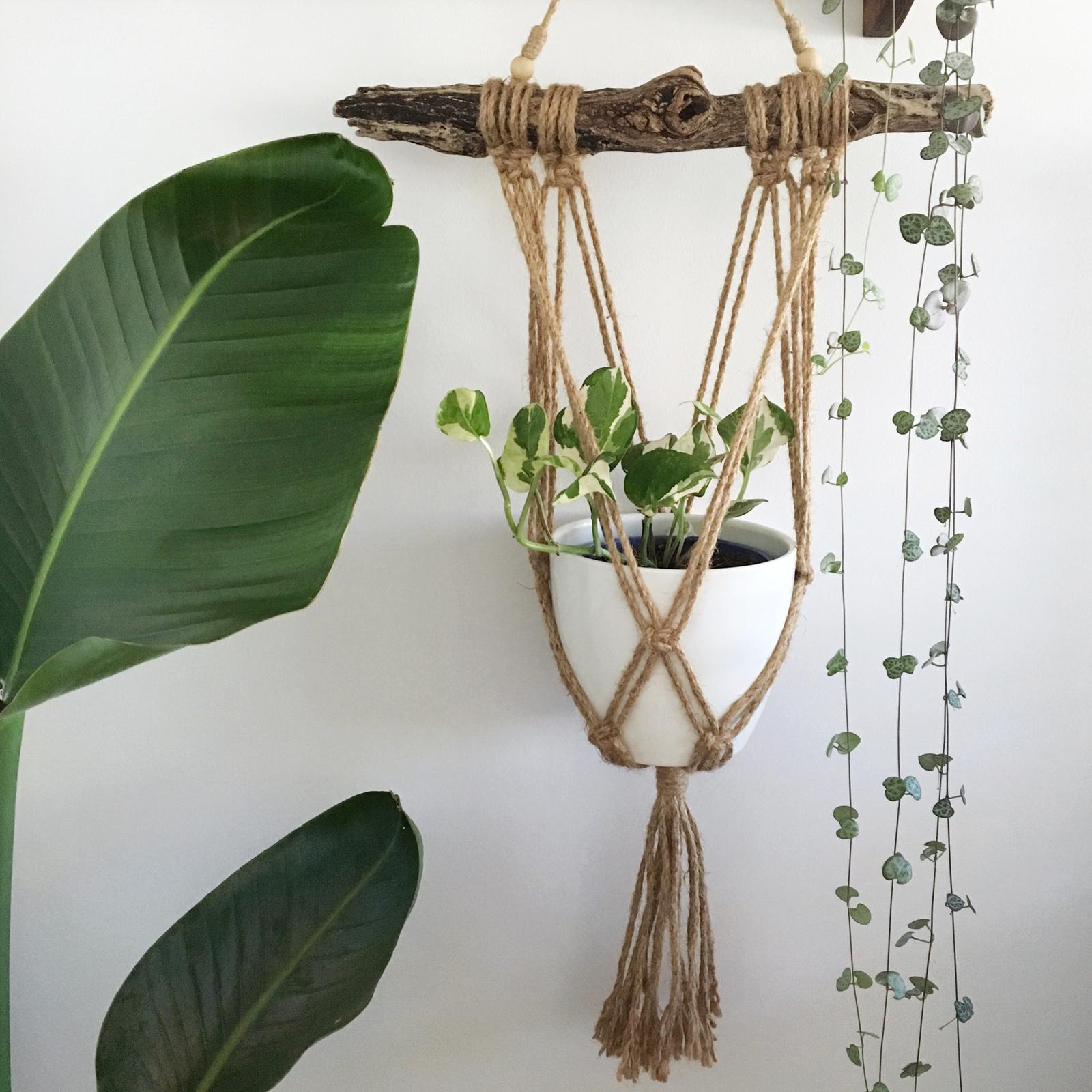 Driftwood macrame plant hanger