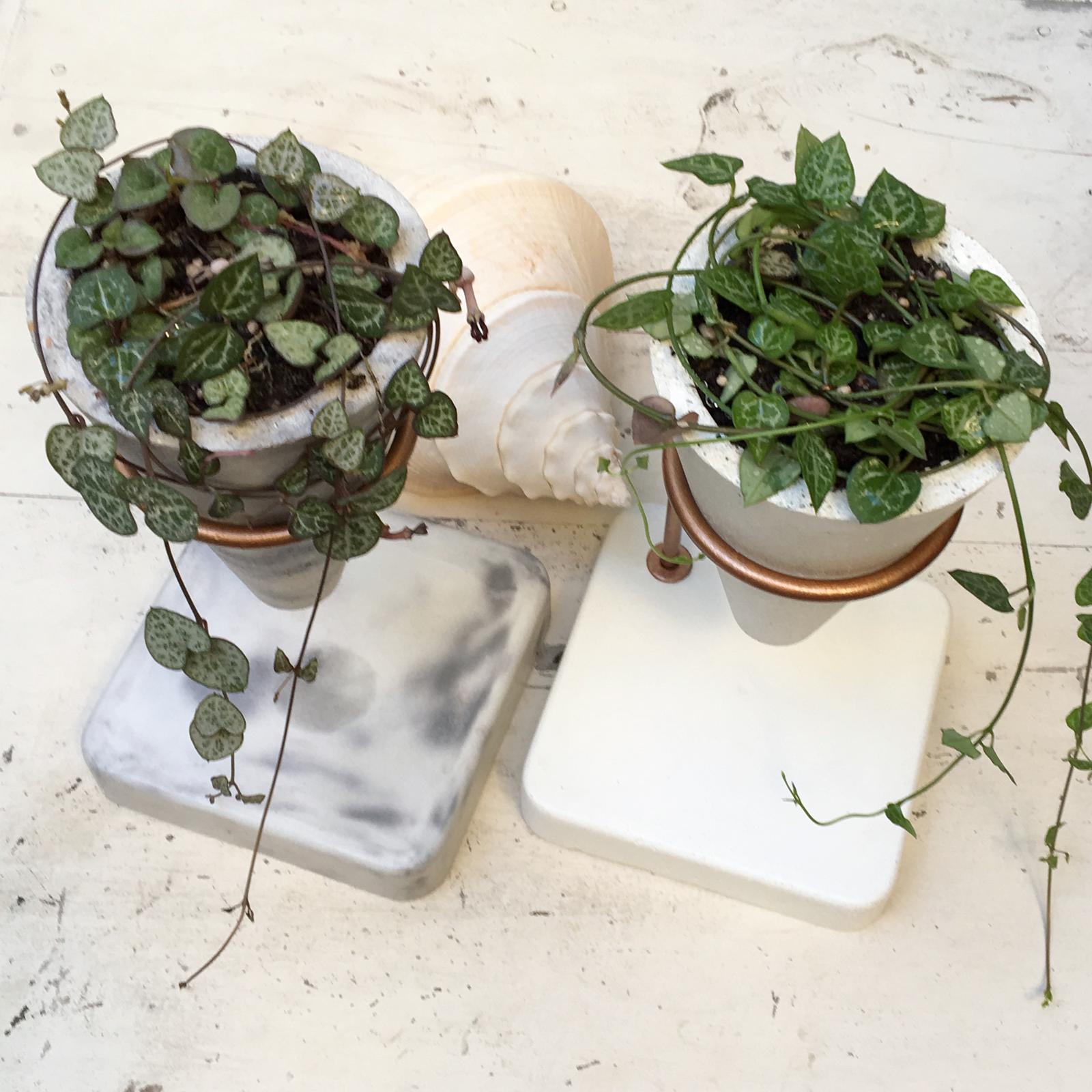 Cone Pots + Stand