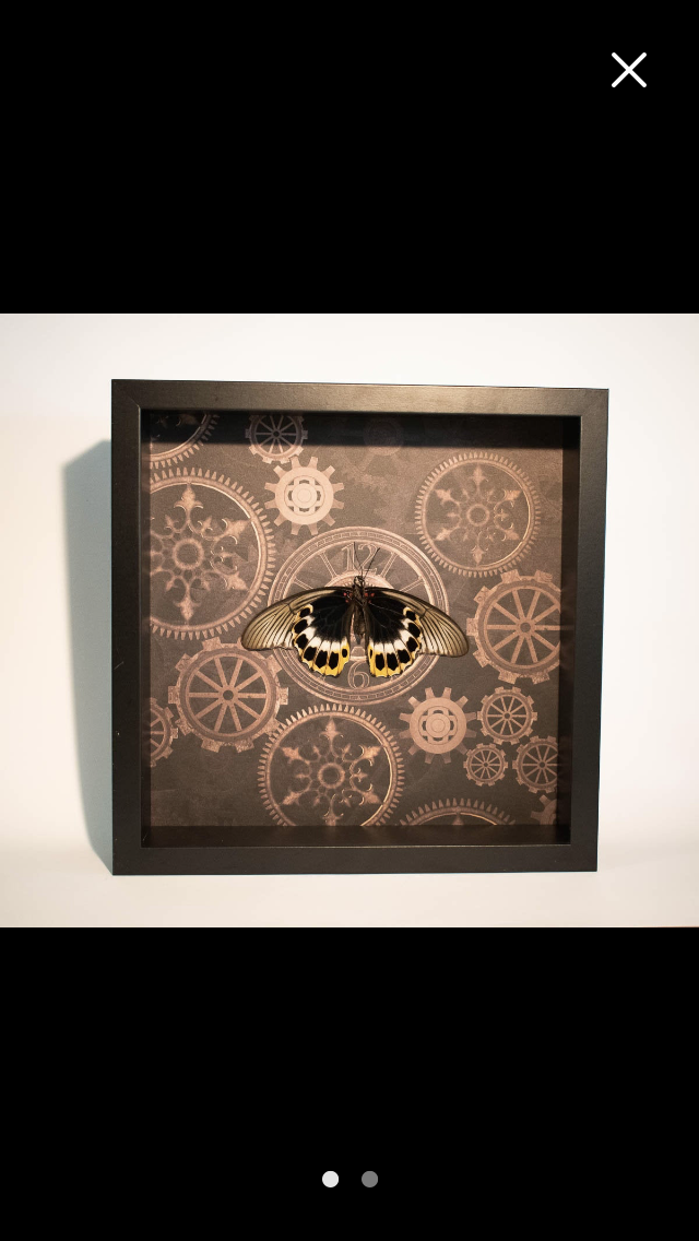Insect Artistry Artwork 3