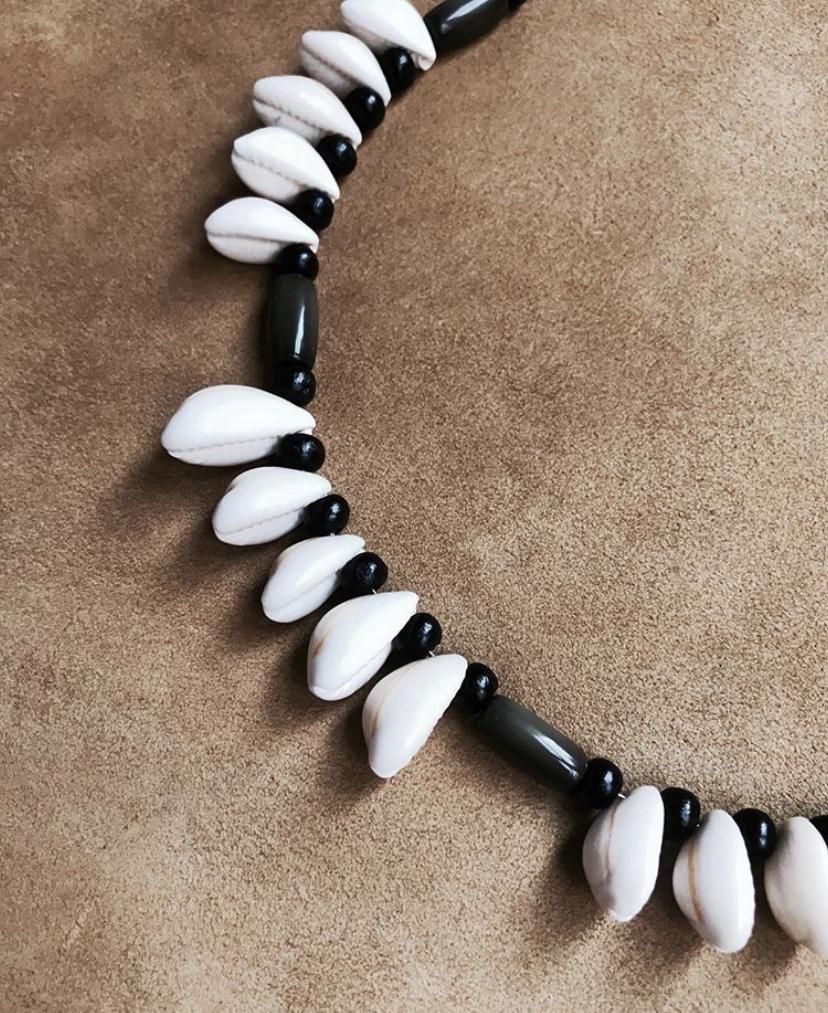 Mamba shells