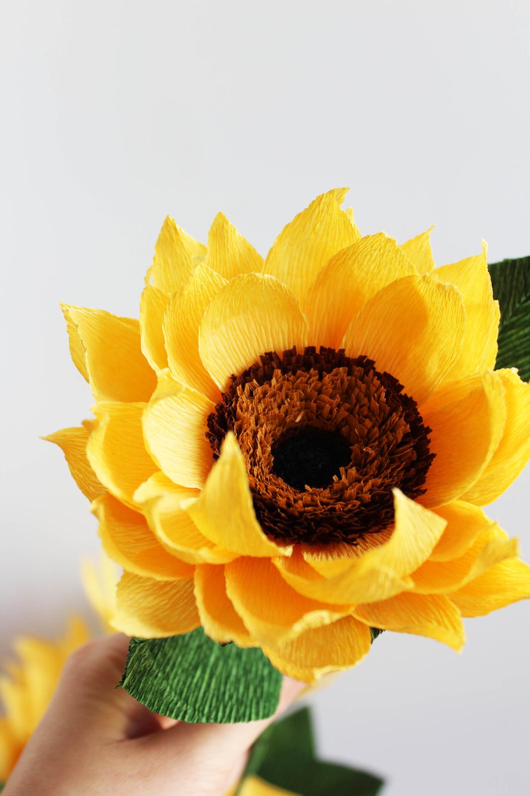 Paper Sunflower