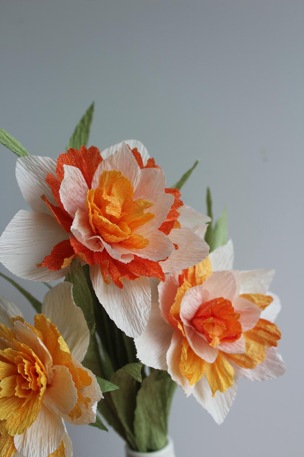 Paper Double Daffodils, photographed by Carrissa Wu
