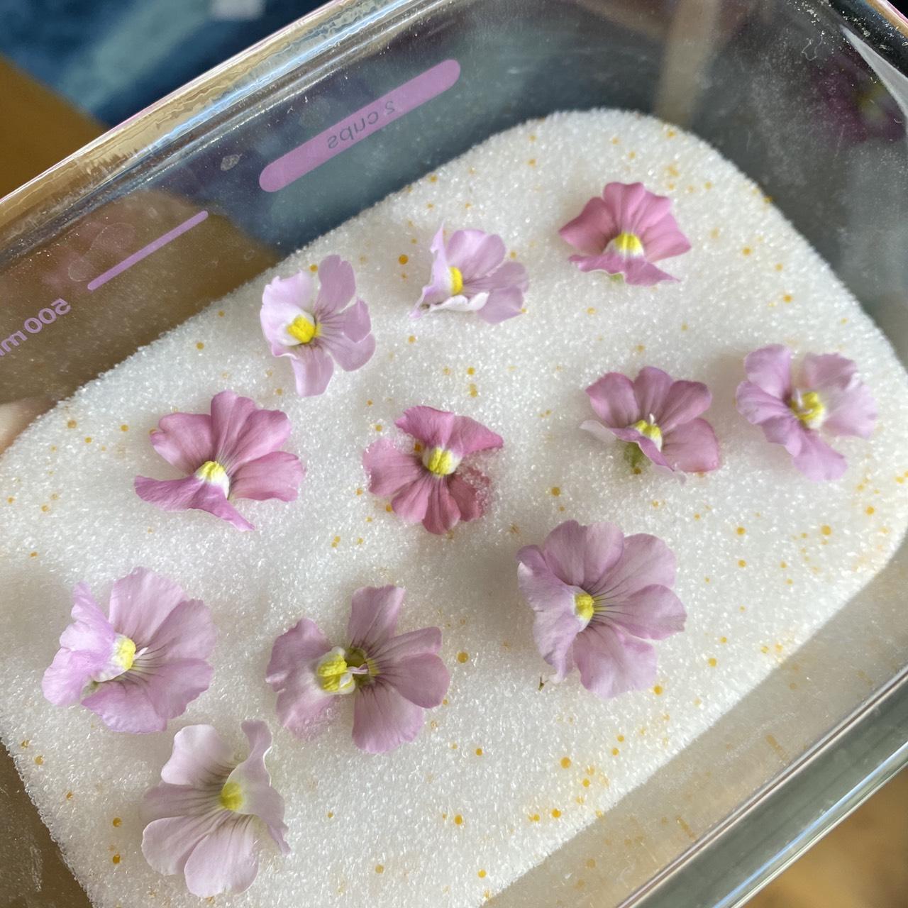 Making dried flowers