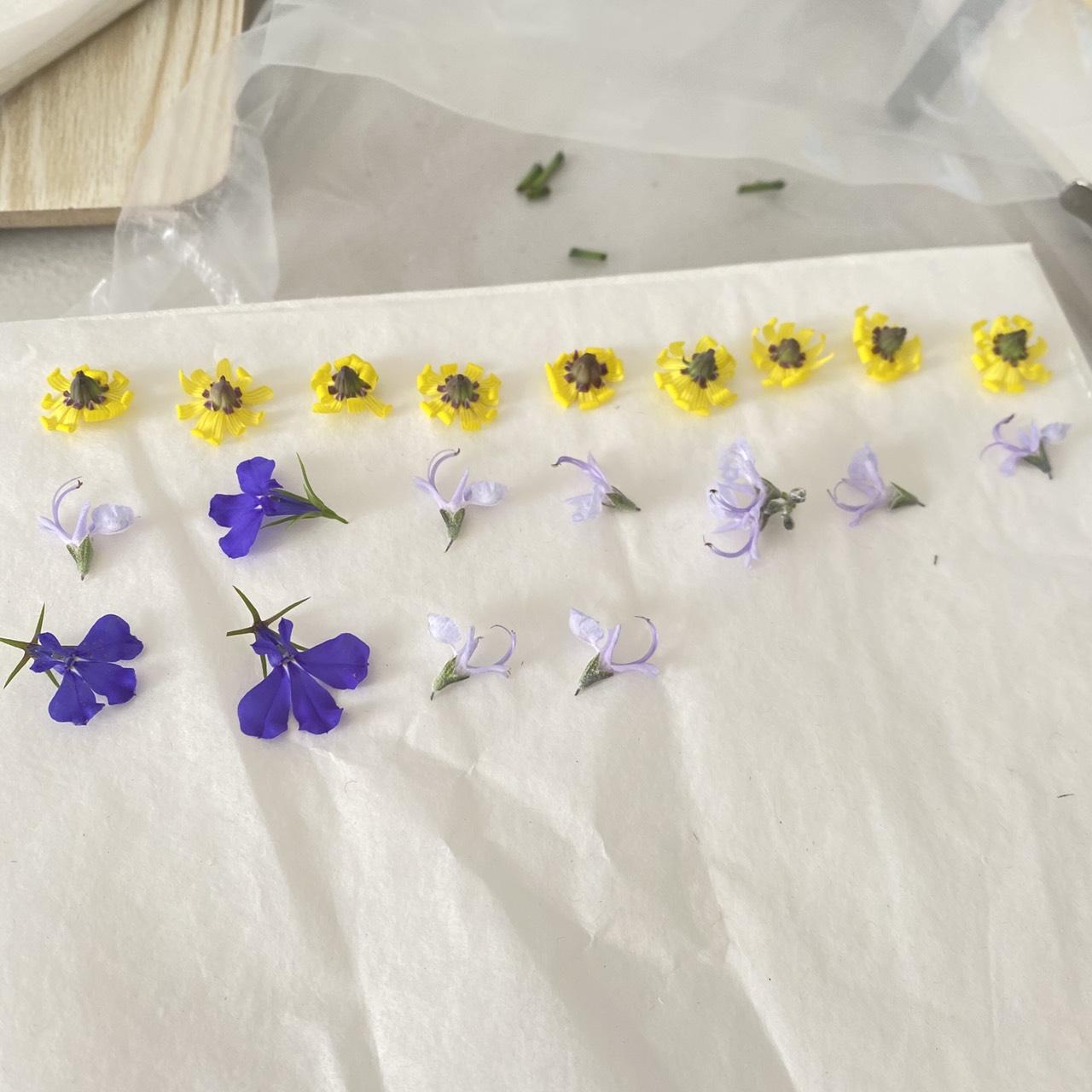 Making dried flowers