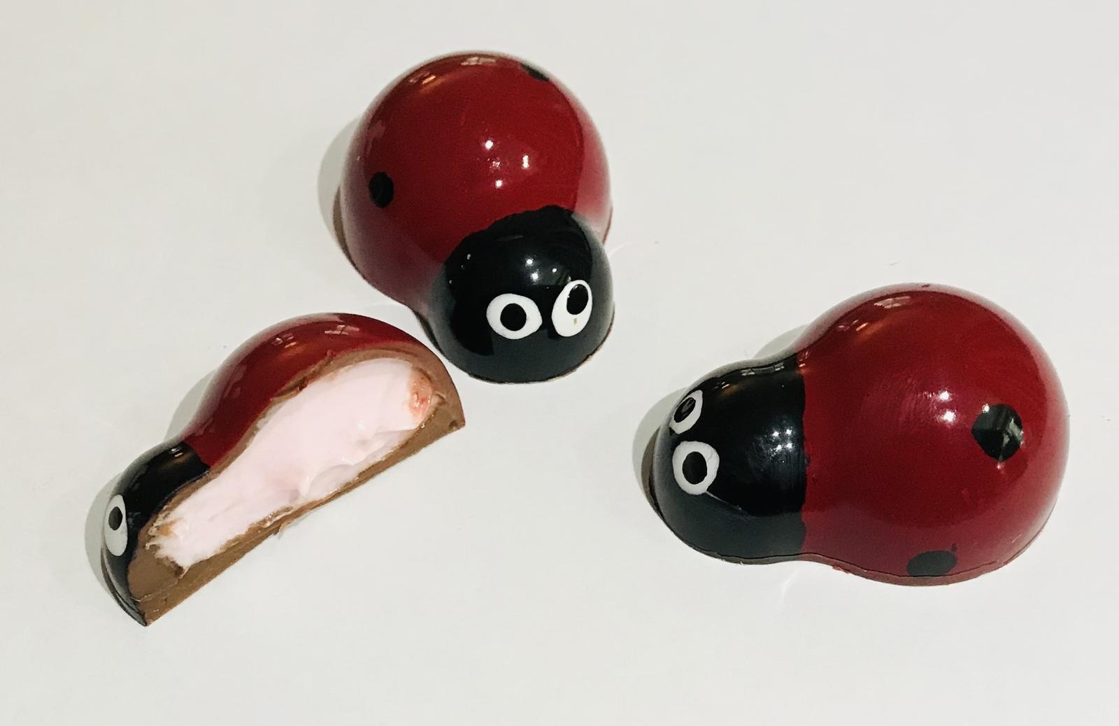 Selection of Chocolates