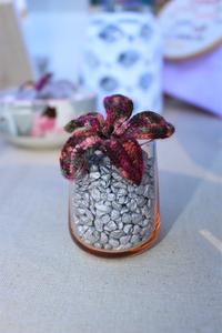Color Me Cosy