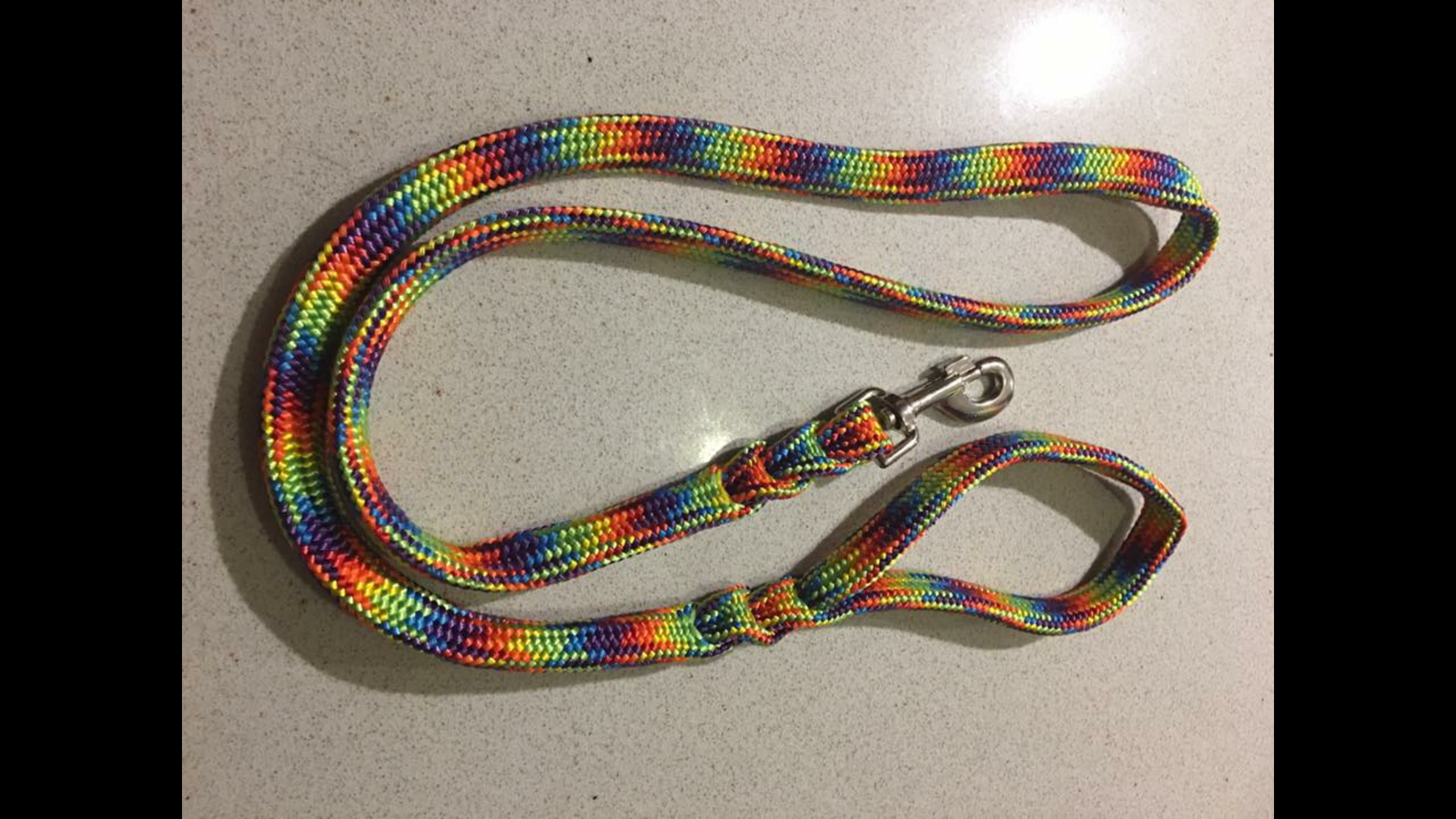Dog leads