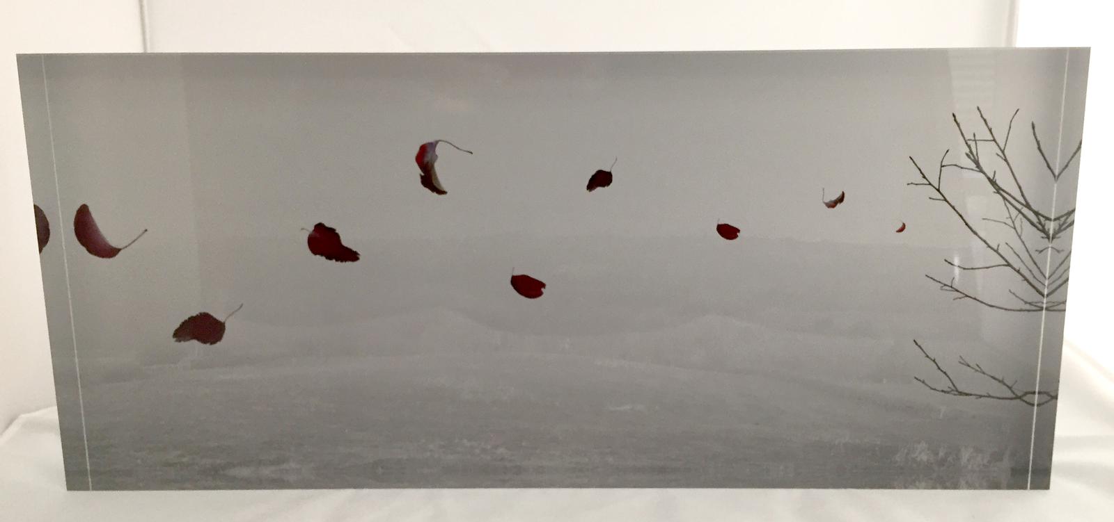 panoramic acrylic block
