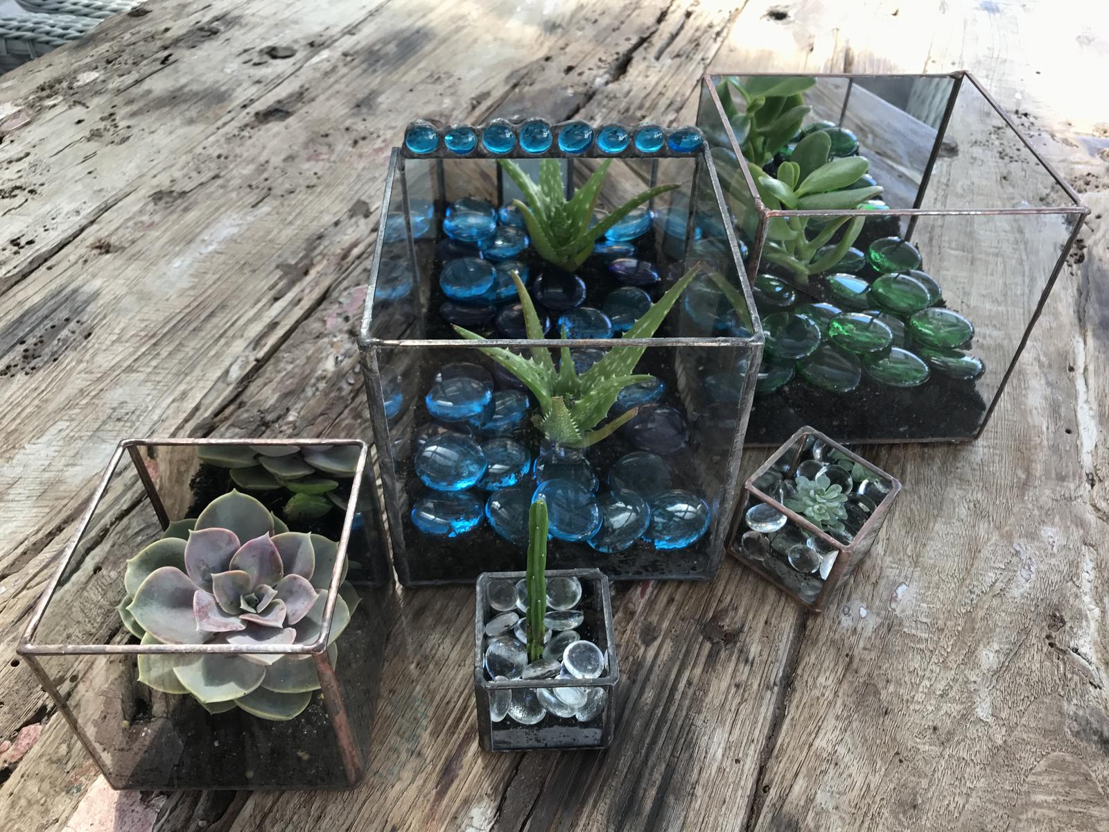 Terrariums