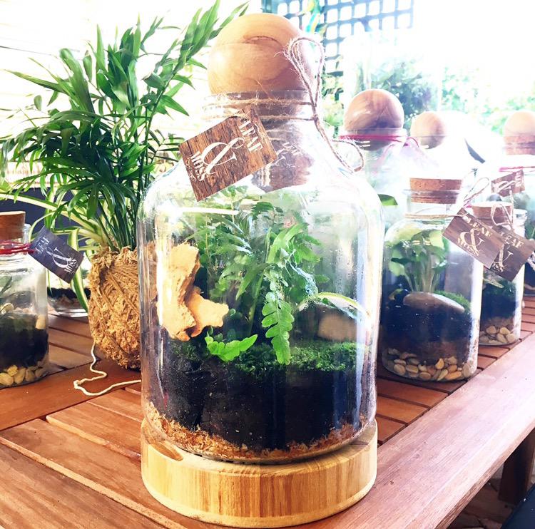 Terrariums