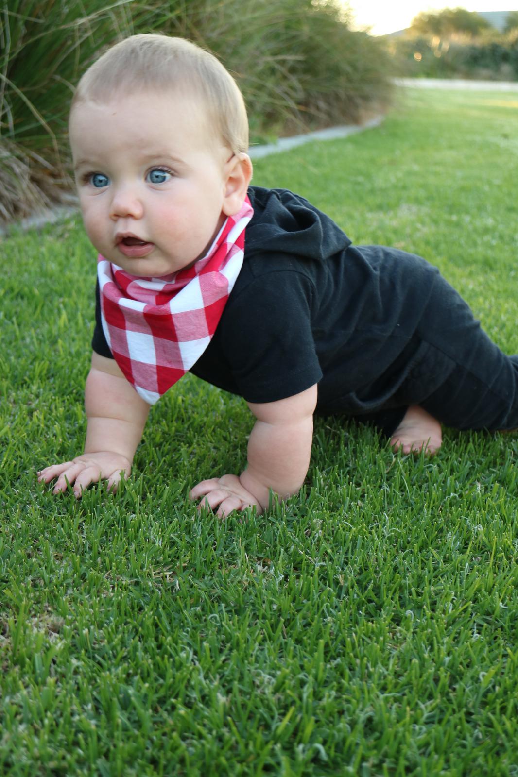 Bandanna Bib 1