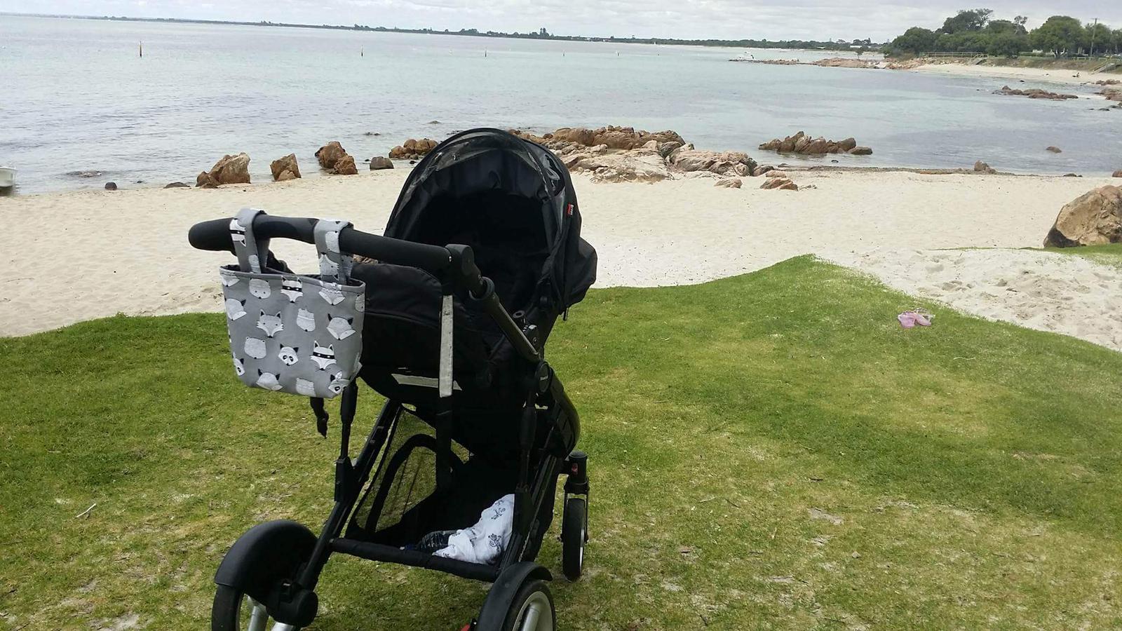 Pram Caddy 1