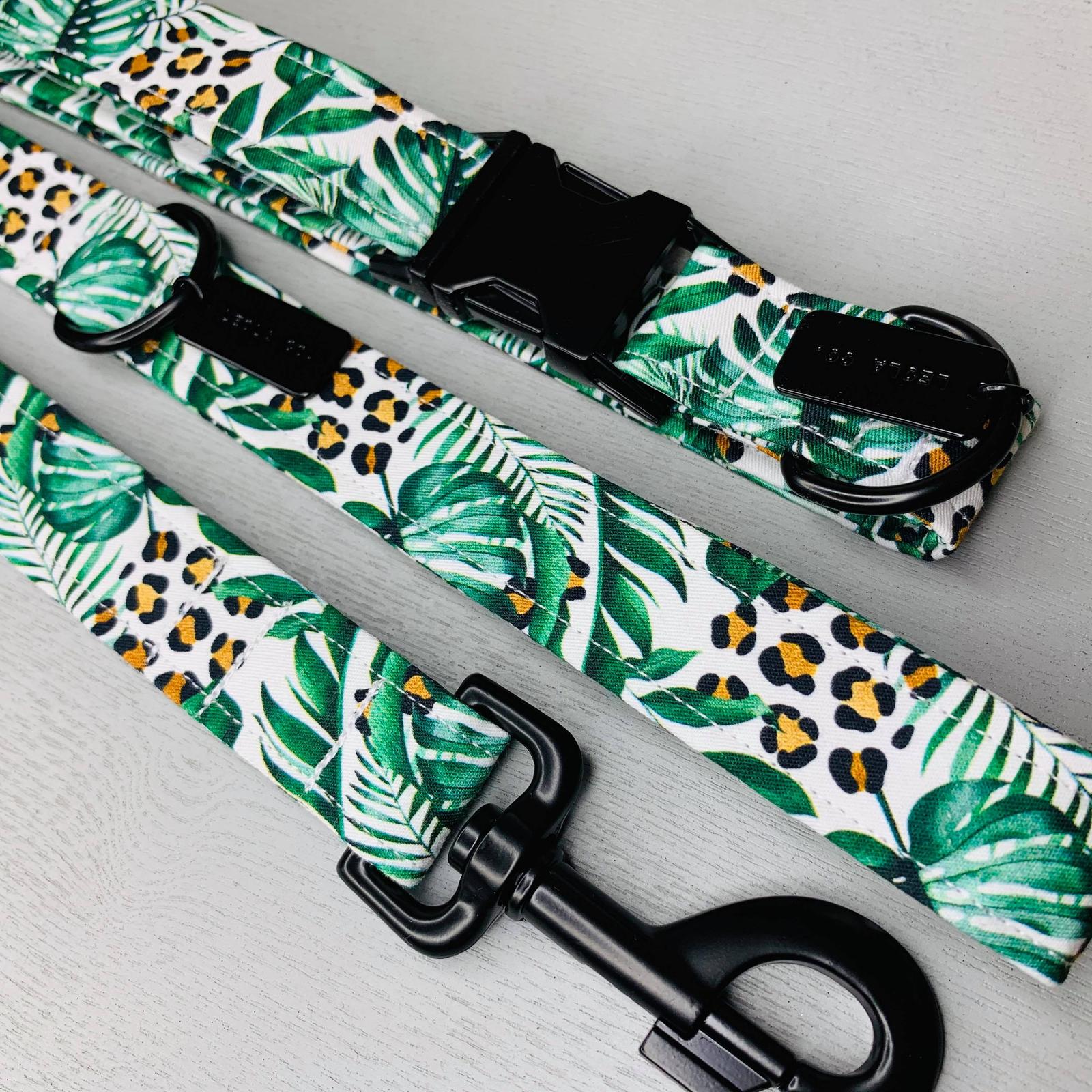 Collar & Lead set