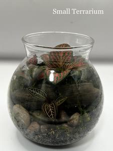 Life In A Jar