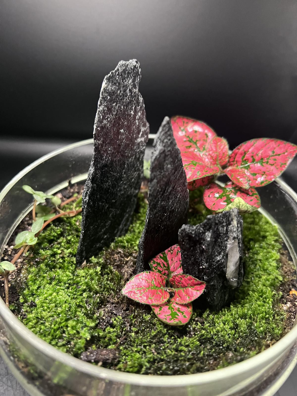 Slate