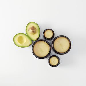 Life with Magnesium