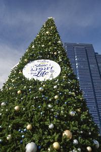 Lifeline WA
