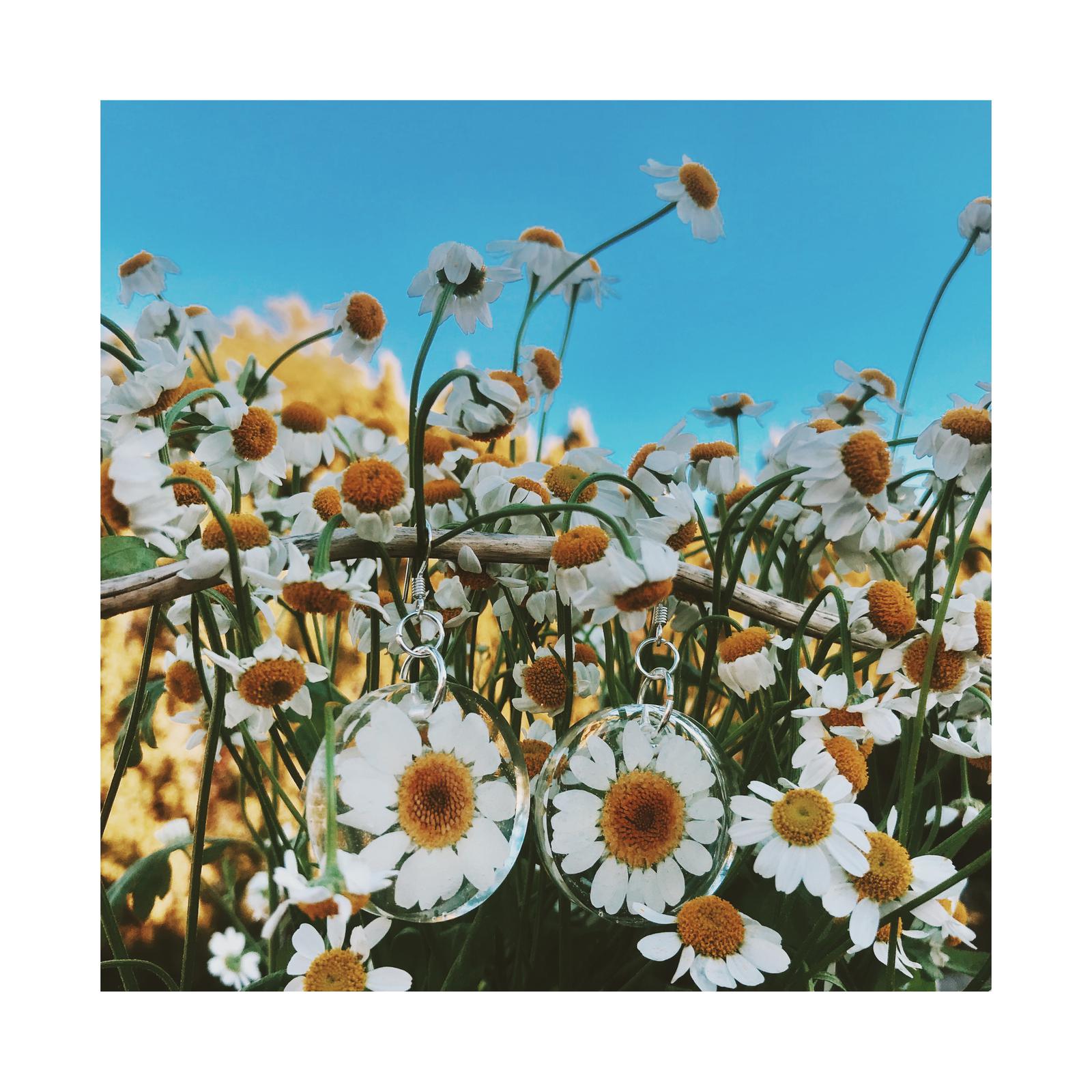 Daisy Earrings