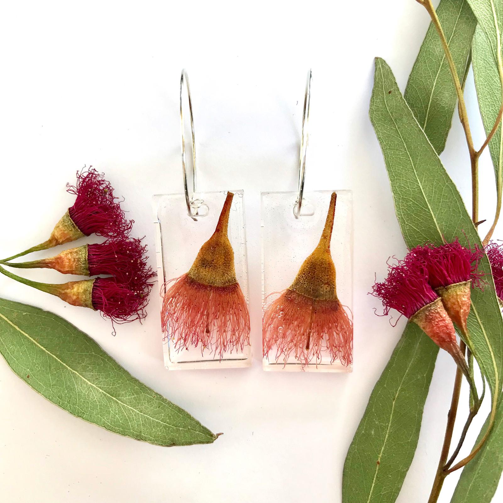 Red Flowering Gum Earrings
