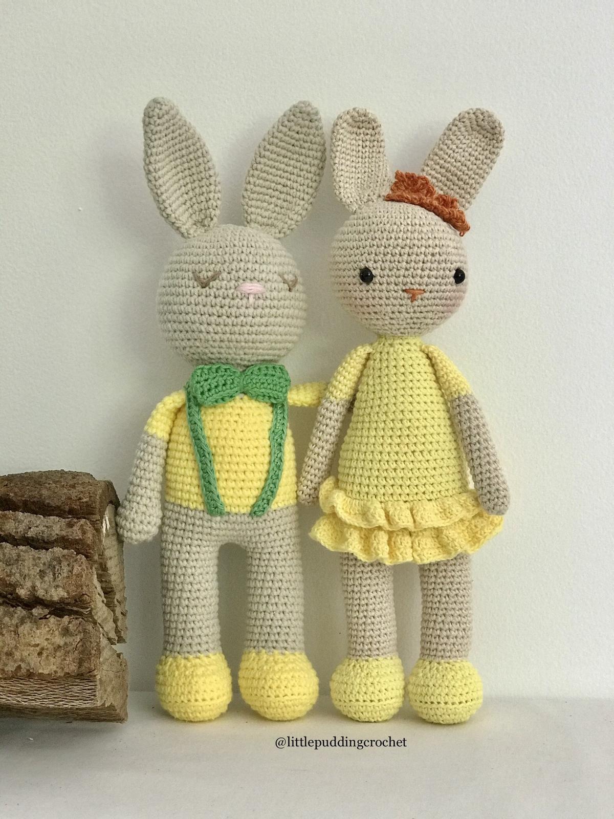 Cute bunny couple