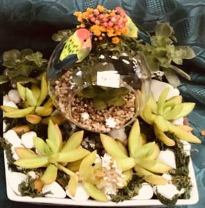 Living Gifts Creations