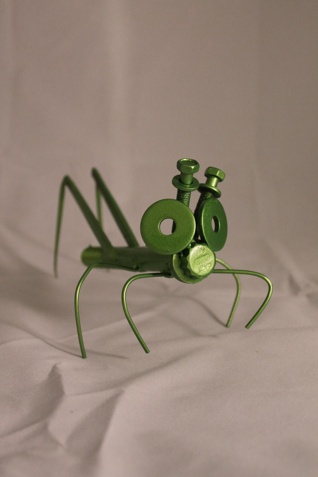 'Charlie' the grasshopper