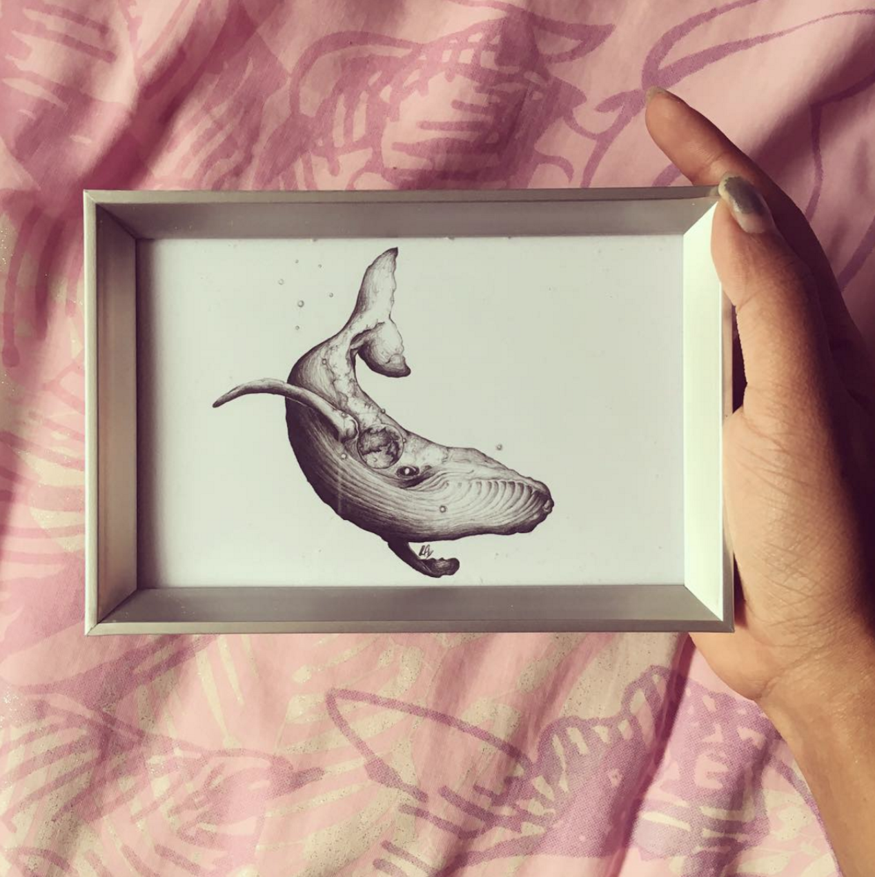 Whale