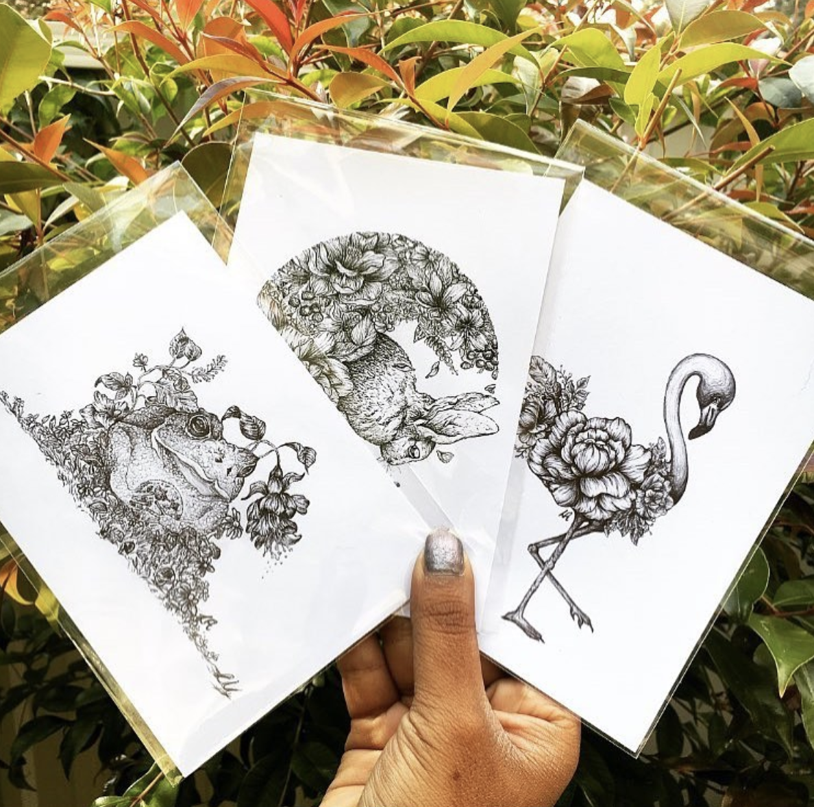 Postcards