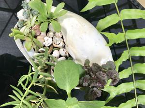 LucX Creations Art & Garden