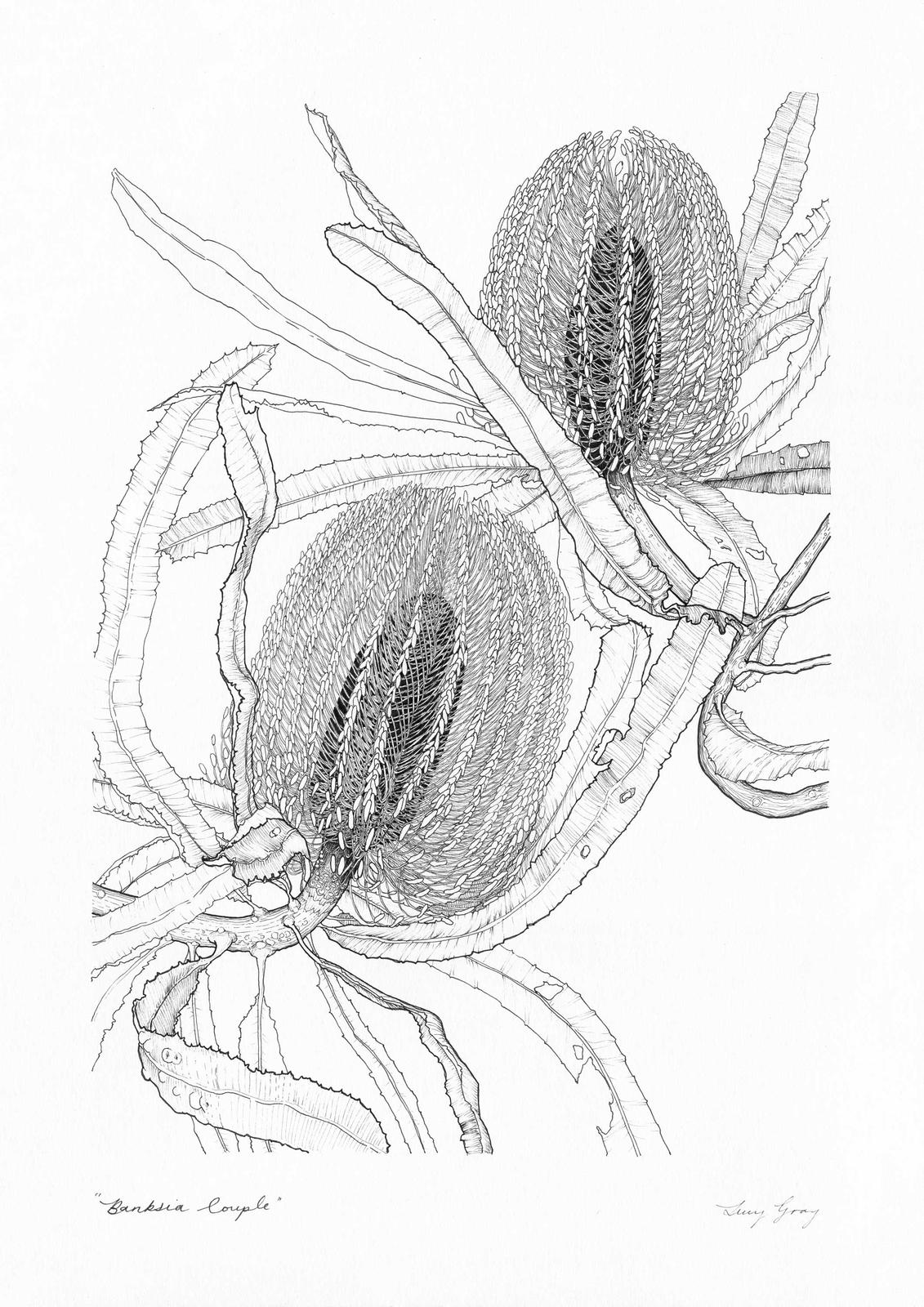 Banksia Couple