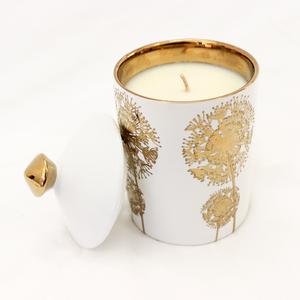 Lumiere By Maris