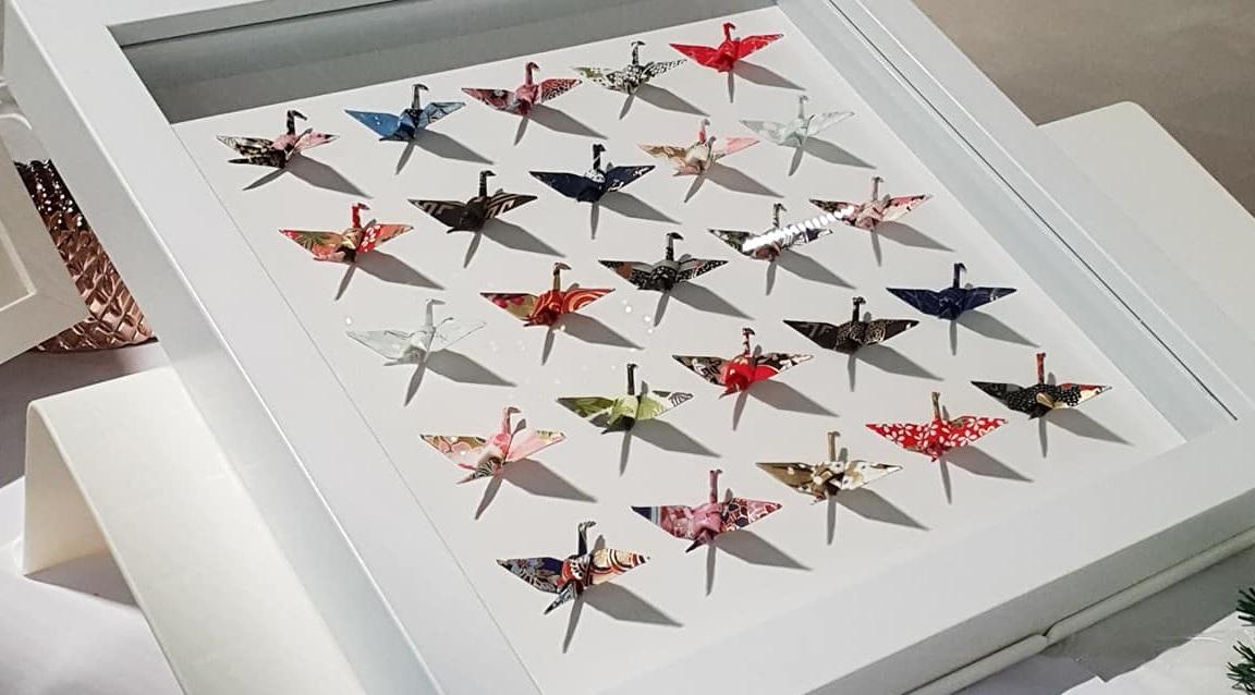 Fly