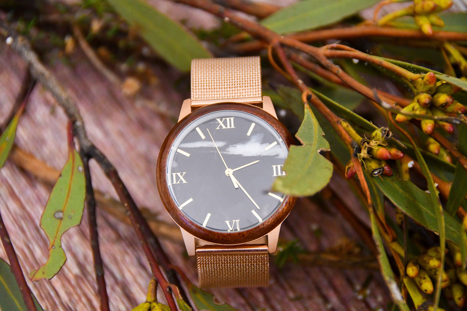 Black skink watch