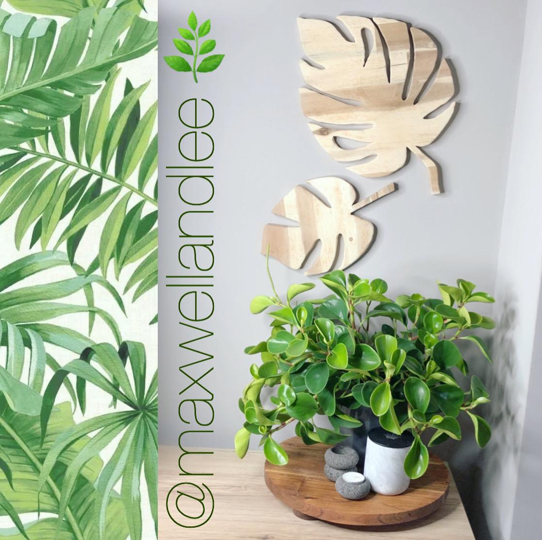 Wall Decor