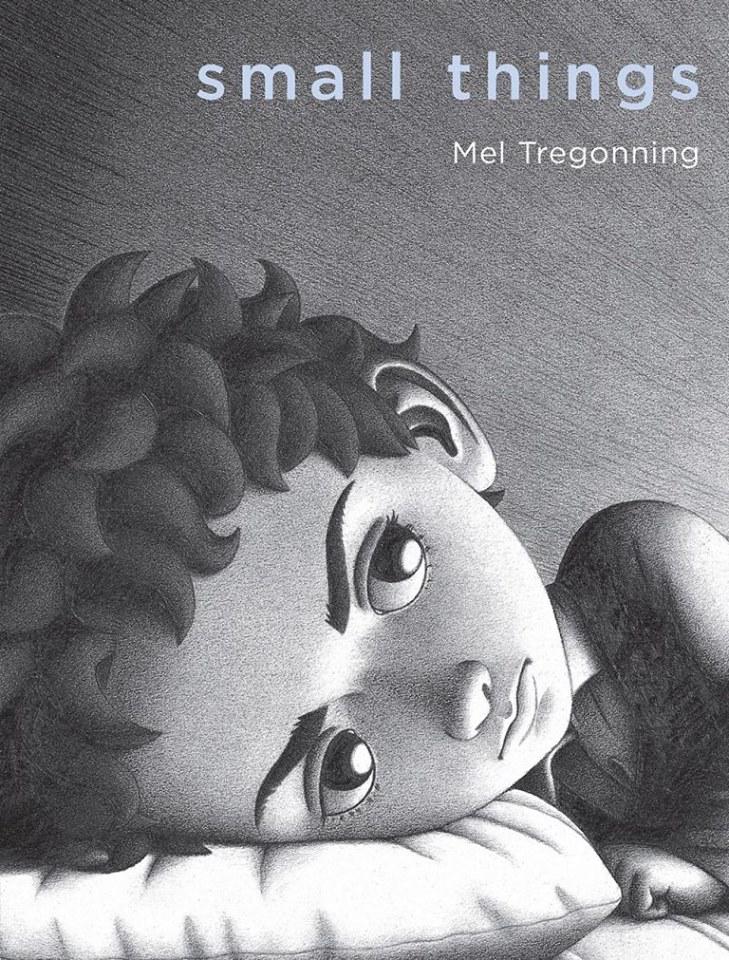 Small Things - book cover