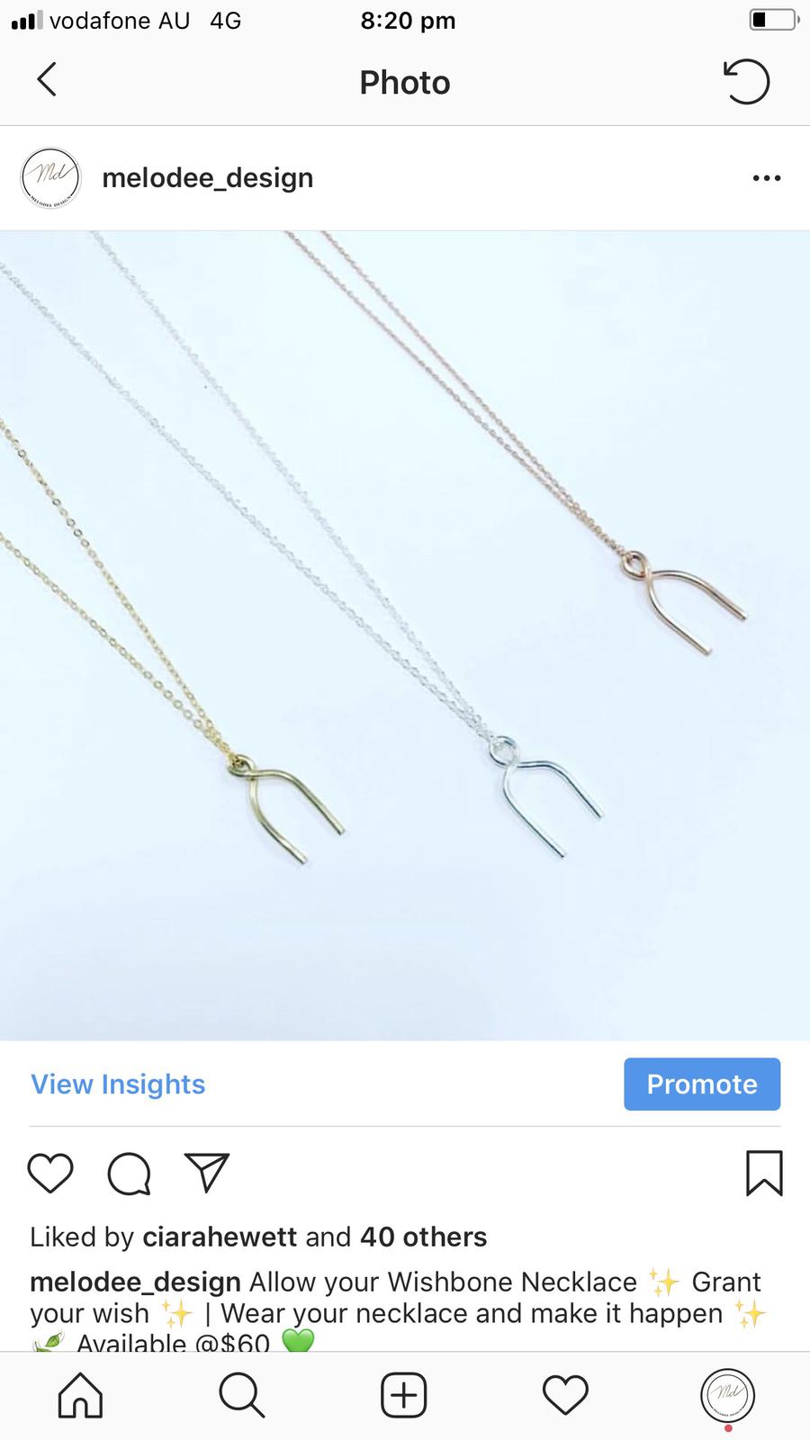 The Wishbone
