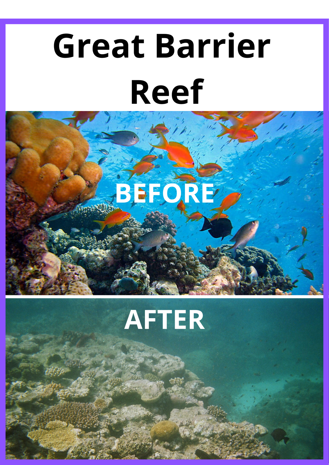Great Barrier Reef Decline