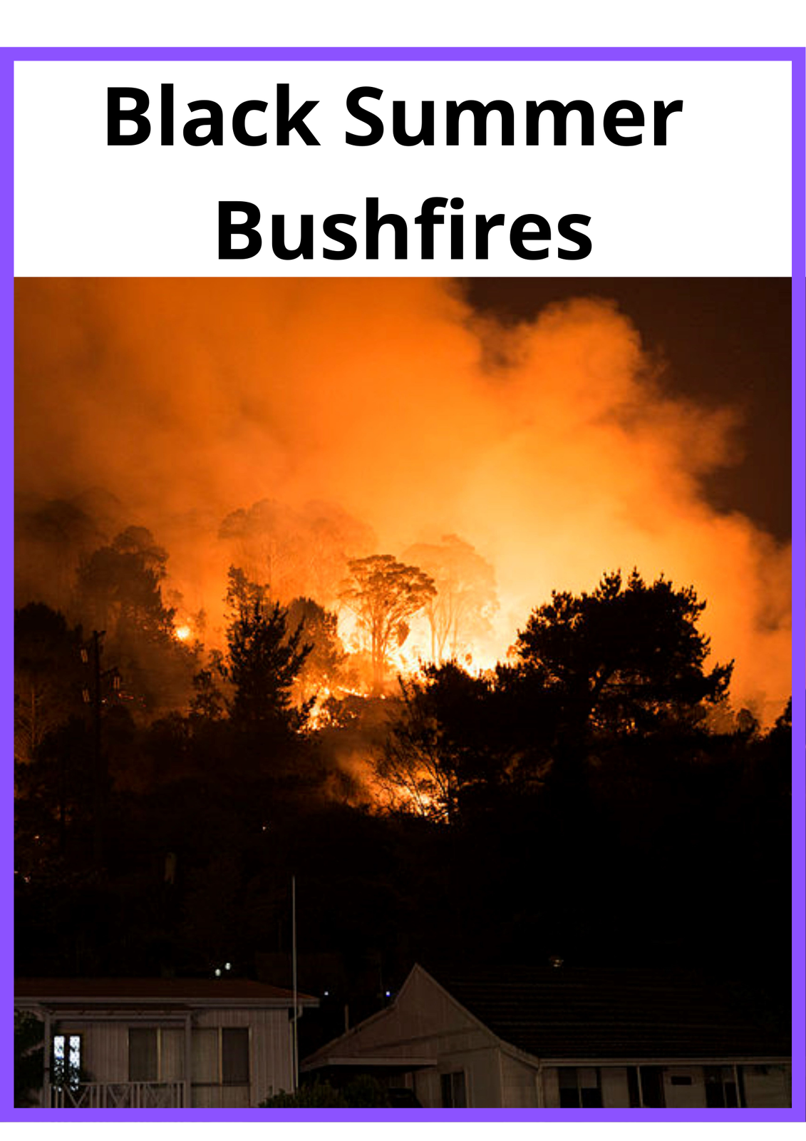 Black Summer Bushfires