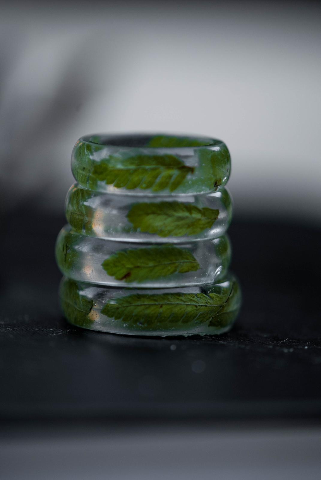 Fern Rings