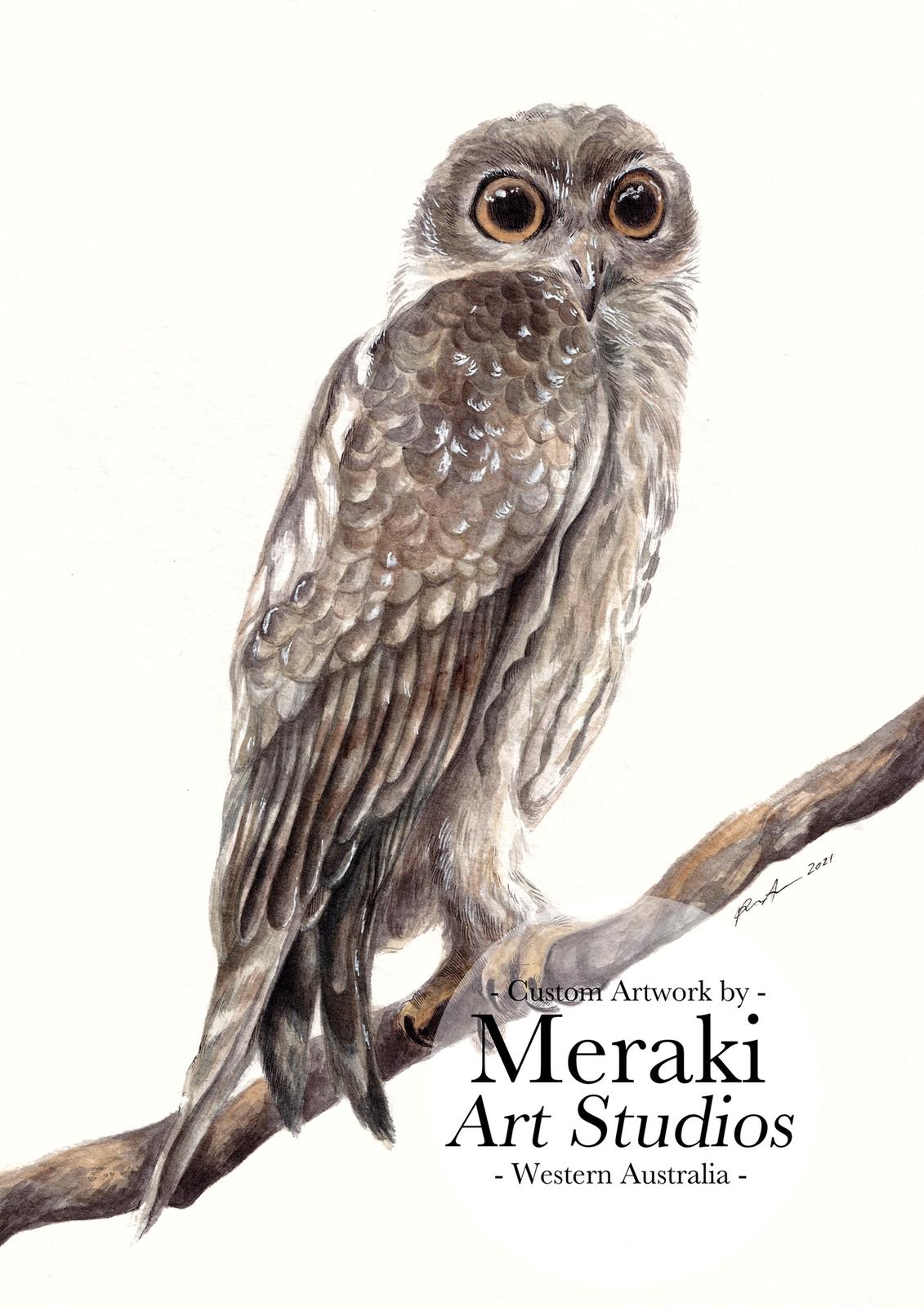Barking Owl (Commissioned Piece)