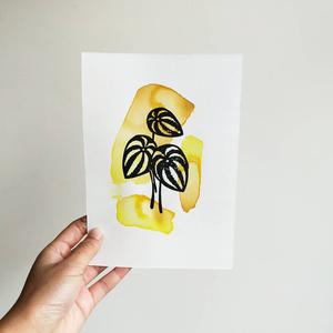 Merinda Designs