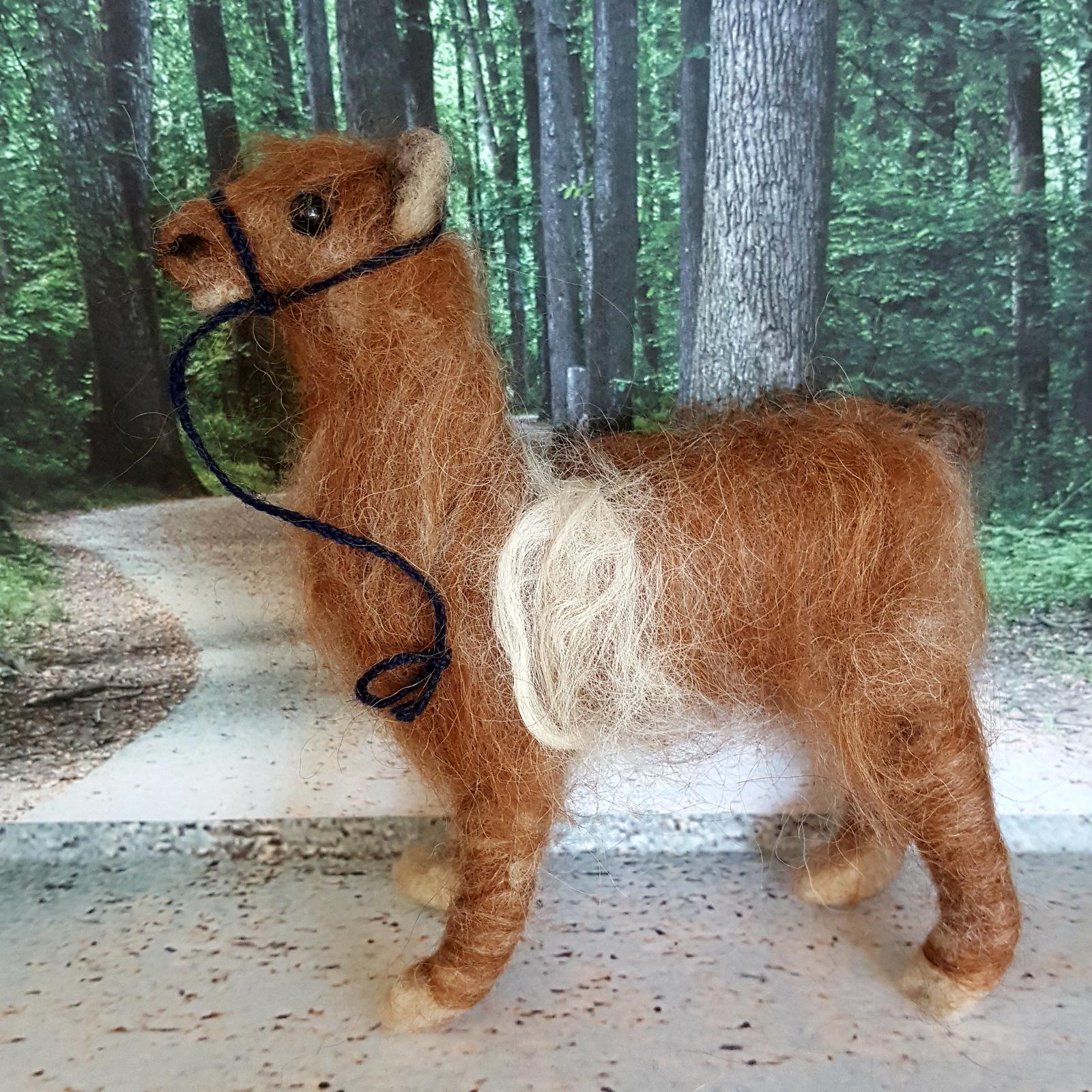 Alpaca