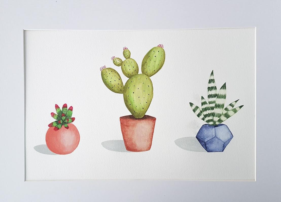 Succulents