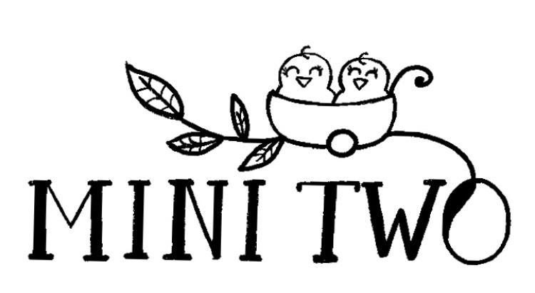 Mini Two