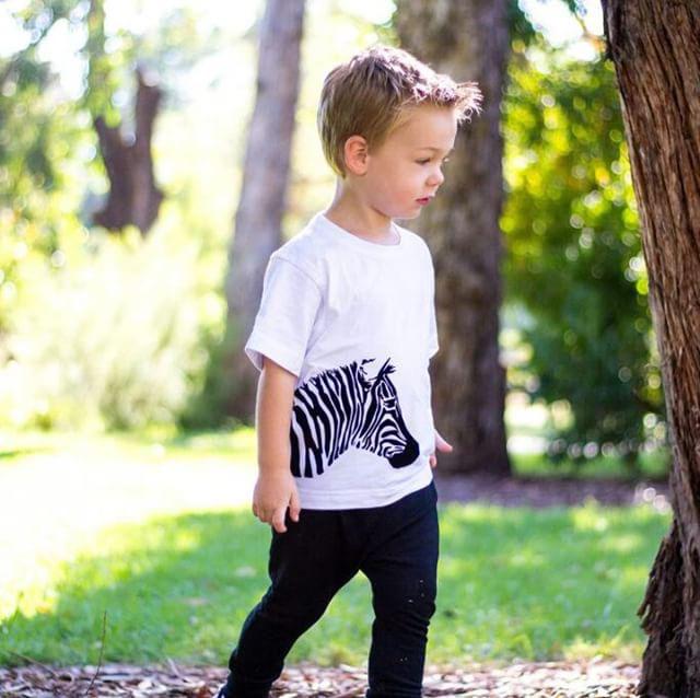 Velvet feel animal collection - Zebra