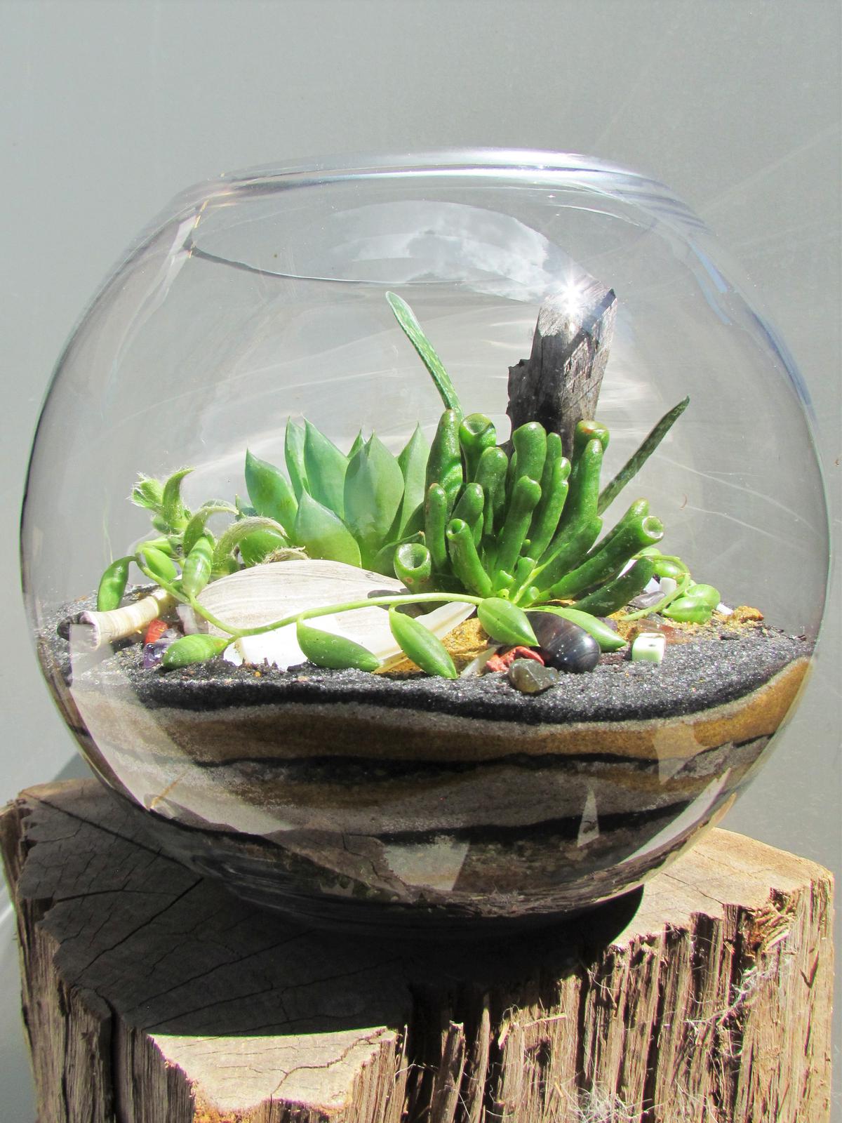 Dreamy black sand terrarium