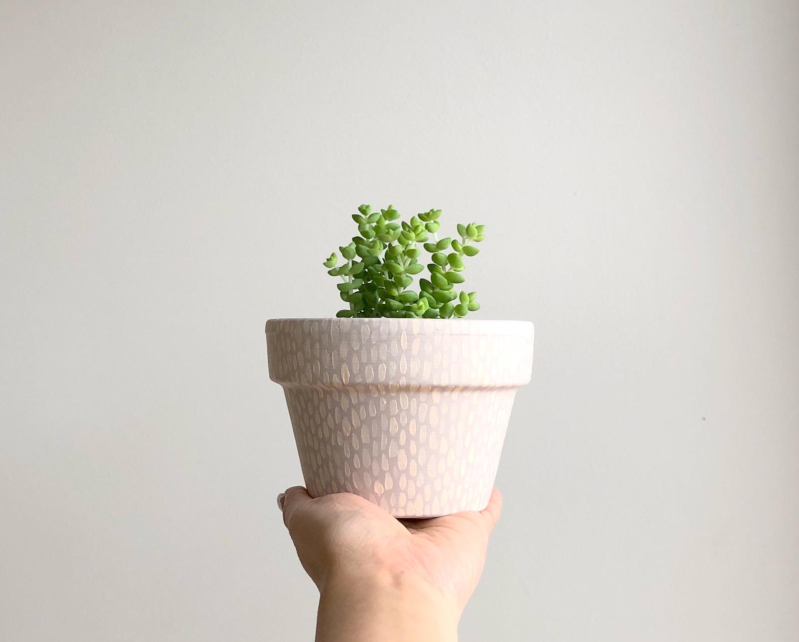 Pots