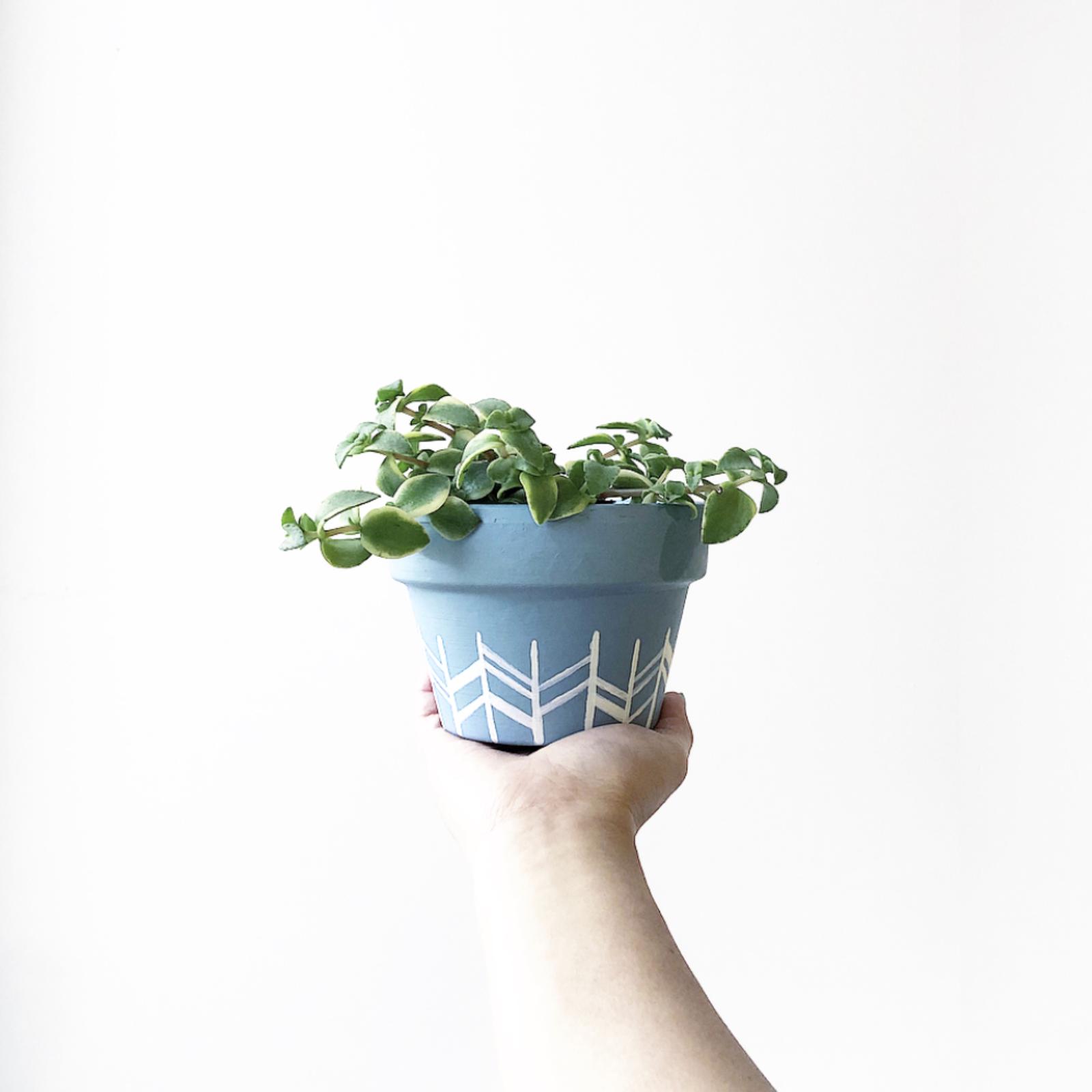 Pots